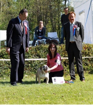 Horse Gard Bulldog - Nationale d'Elevage  (4 et 5 mai 2013)