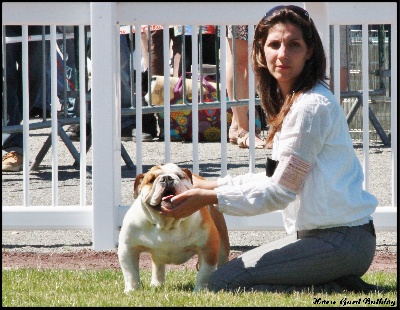Horse Gard Bulldog - Exposition Canine CACS Pornichet (30.06.2013)