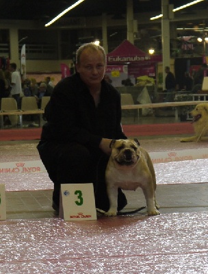 Horse Gard Bulldog - Exposition Canine Angers CACIB (25.03.2012)