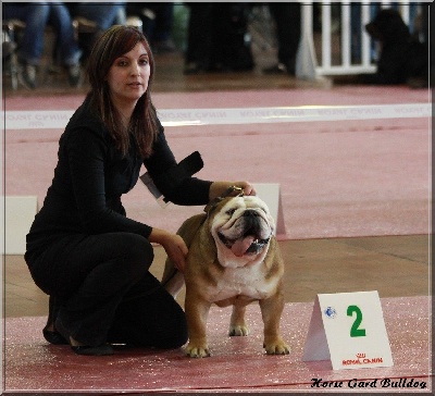 Horse Gard Bulldog - Exposition Canine Angers CACIB (31.03.2013)