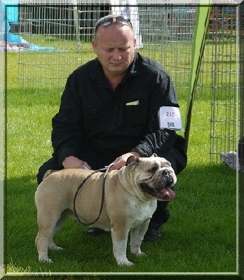 Horse Gard Bulldog - Exposition Canine Campbon (01.07.2012)